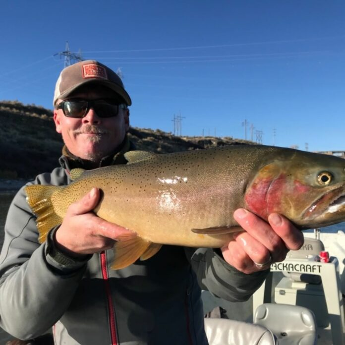 Traveled #5 – Snake River Fly Fishing with Larry Larsen – Smallmouth Bass, Giant Rainbow Trout