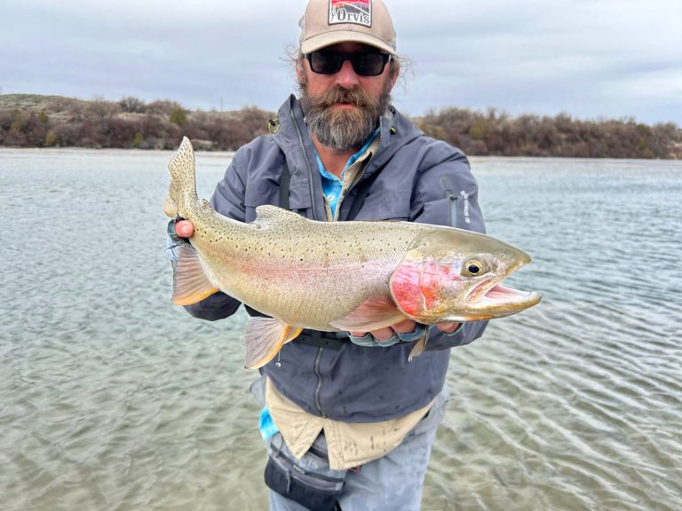 Traveled #31 | The Best-Kept Secret in Idaho Fly Fishing with David Raisch of the Lodge at Palisades Creek
